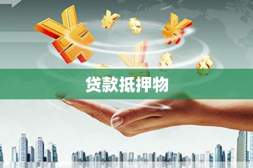 澧县贷款抵押物