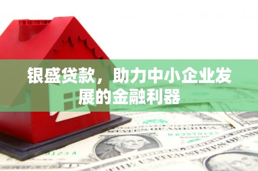 澧县银盛贷款，助力中小企业发展的金融利器