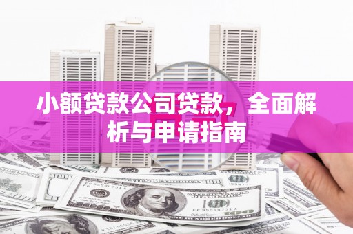 澧县小额贷款公司贷款，全面解析与申请指南