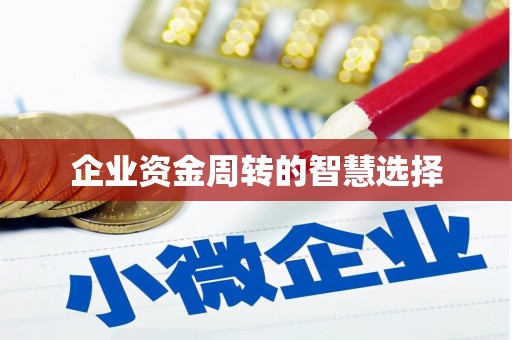 澧县企业资金周转的智慧选择