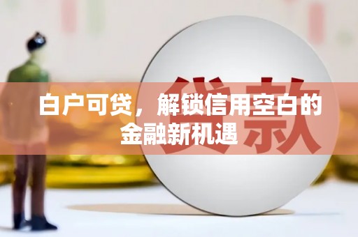 澧县白户可贷，解锁信用空白的金融新机遇