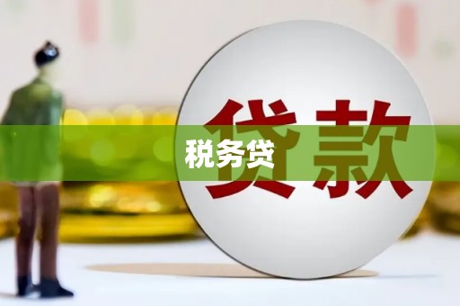 澧县税务贷