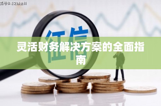 澧县灵活财务解决方案的全面指南