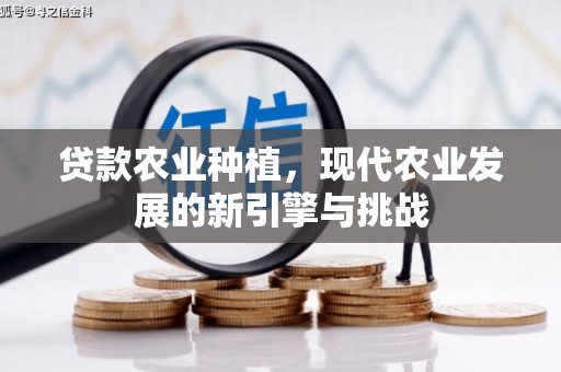 澧县贷款农业种植，现代农业发展的新引擎与挑战