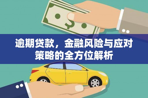 澧县逾期贷款，金融风险与应对策略的全方位解析
