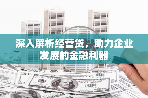 澧县深入解析经营贷，助力企业发展的金融利器