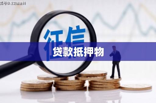 澧县贷款抵押物
