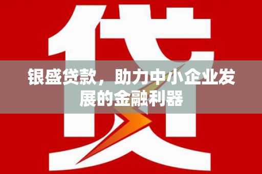 澧县银盛贷款，助力中小企业发展的金融利器