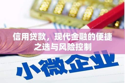 澧县信用贷款，现代金融的便捷之选与风险控制