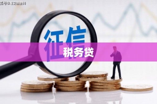 澧县税务贷