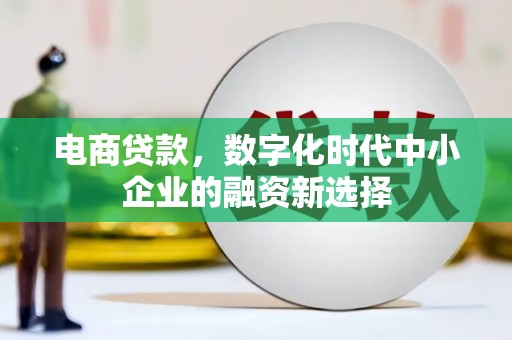澧县电商贷款，数字化时代中小企业的融资新选择