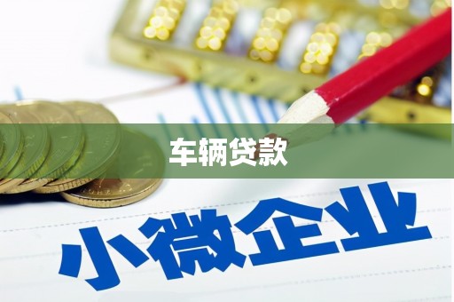 澧县车辆贷款