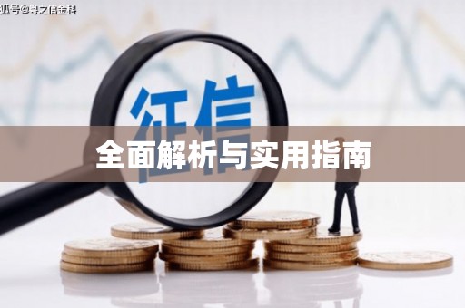 澧县全面解析与实用指南
