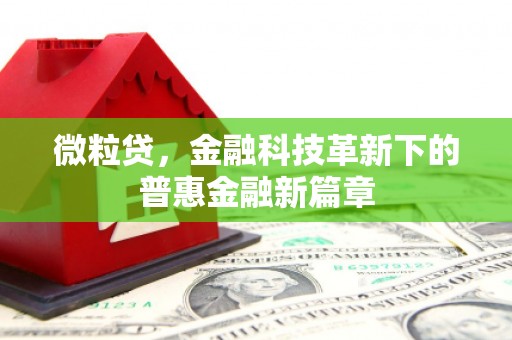 澧县微粒贷，金融科技革新下的普惠金融新篇章