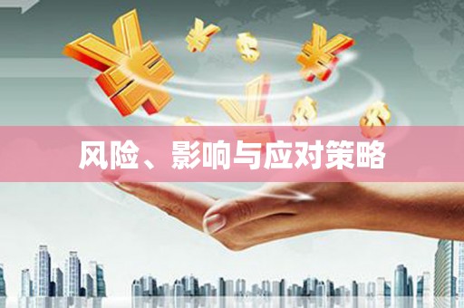 澧县风险、影响与应对策略