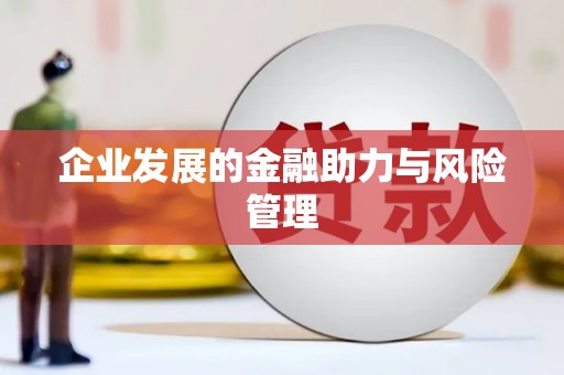 澧县企业发展的金融助力与风险管理