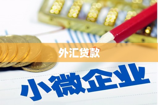 澧县外汇贷款