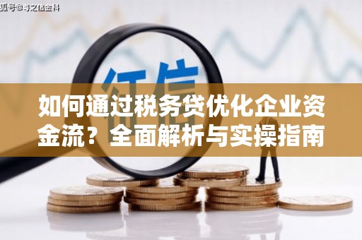 澧县如何通过税务贷优化企业资金流？全面解析与实操指南