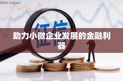 澧县助力小微企业发展的金融利器