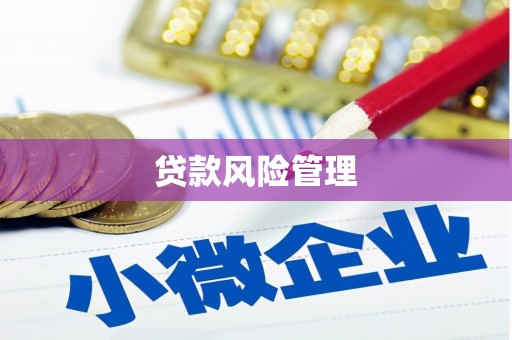 澧县贷款风险管理