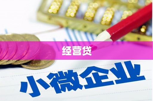 澧县经营贷