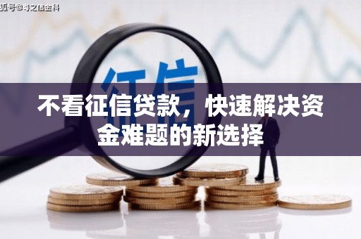 澧县不看征信贷款，快速解决资金难题的新选择