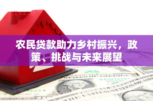 澧县农民贷款助力乡村振兴，政策、挑战与未来展望