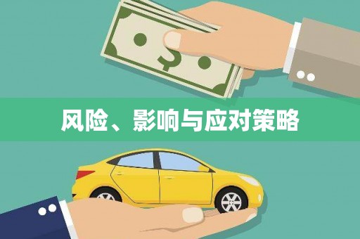澧县风险、影响与应对策略