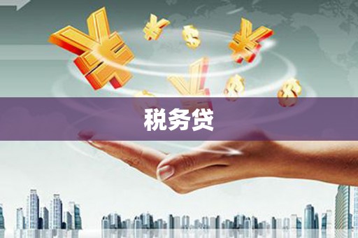 澧县税务贷
