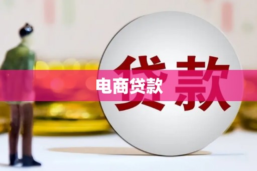 澧县电商贷款