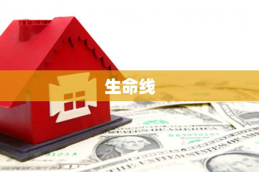 澧县生命线