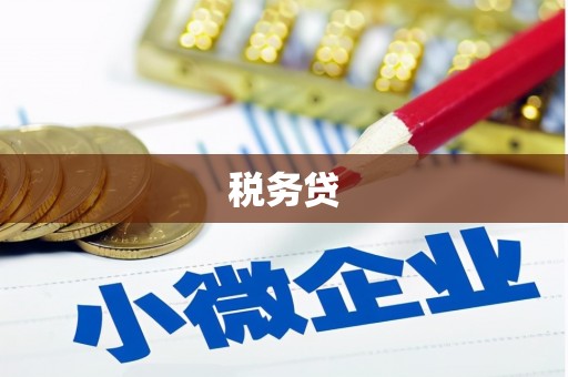 澧县税务贷