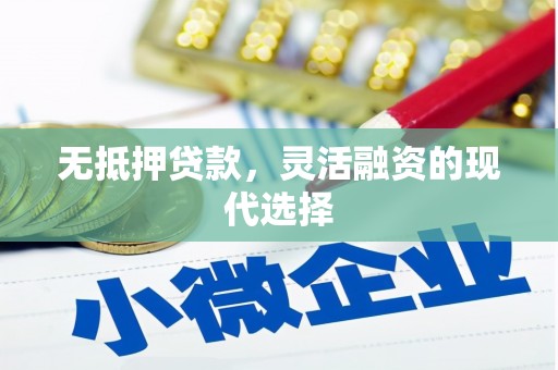 澧县无抵押贷款，灵活融资的现代选择