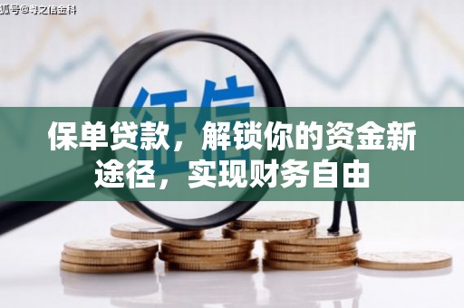澧县保单贷款，解锁你的资金新途径，实现财务自由