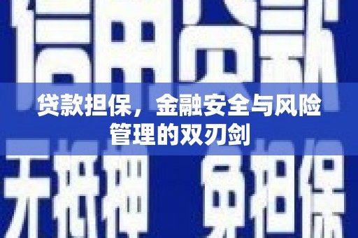 澧县贷款担保，金融安全与风险管理的双刃剑
