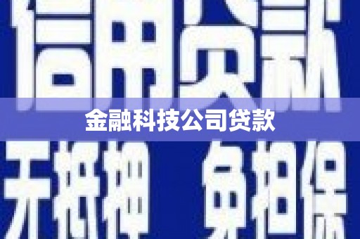 澧县金融科技公司贷款