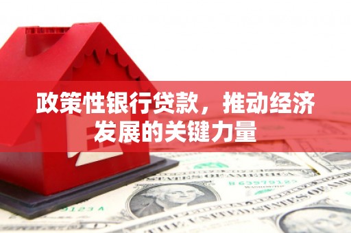 澧县政策性银行贷款，推动经济发展的关键力量