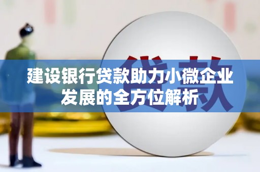 澧县建设银行贷款助力小微企业发展的全方位解析
