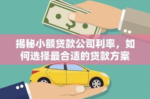 澧县揭秘小额贷款公司利率，如何选择最合适的贷款方案