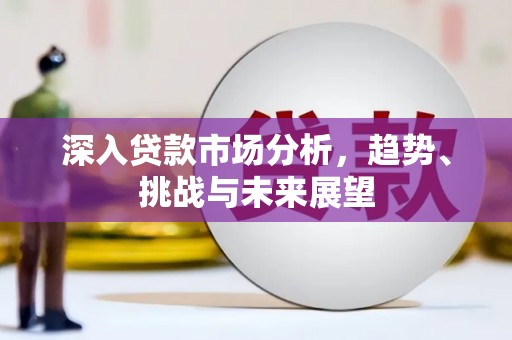 澧县深入贷款市场分析，趋势、挑战与未来展望