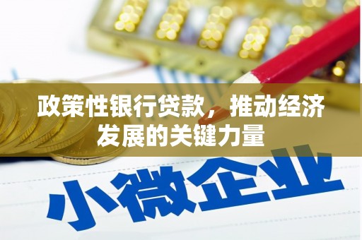 澧县政策性银行贷款，推动经济发展的关键力量