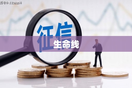 澧县生命线