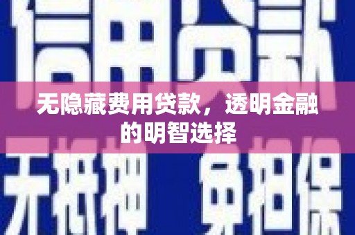 澧县无隐藏费用贷款，透明金融的明智选择