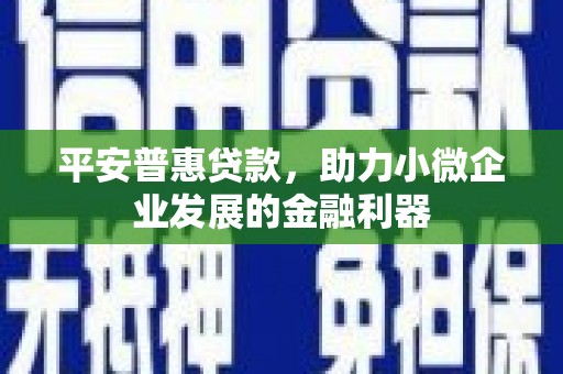 澧县平安普惠贷款，助力小微企业发展的金融利器