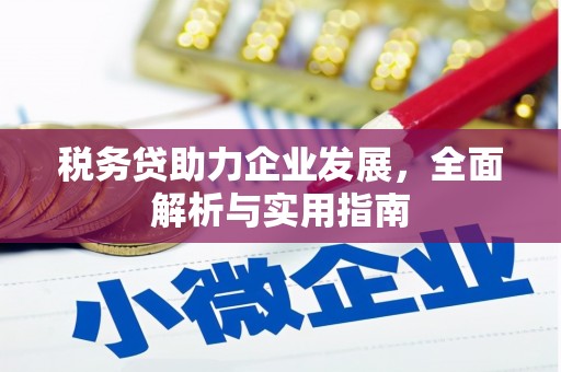 澧县税务贷助力企业发展，全面解析与实用指南
