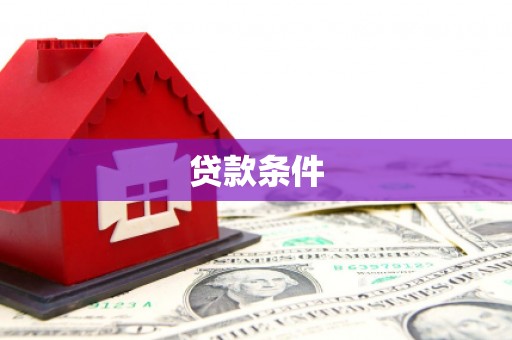 澧县贷款条件