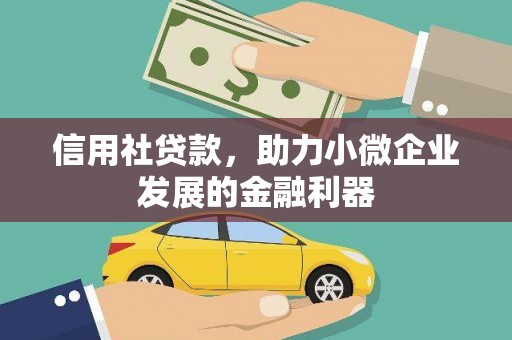 澧县信用社贷款，助力小微企业发展的金融利器