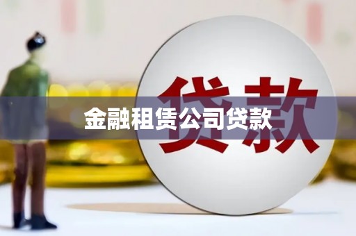 澧县金融租赁公司贷款