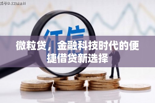 澧县微粒贷，金融科技时代的便捷借贷新选择