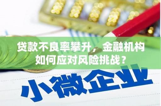 澧县贷款不良率攀升，金融机构如何应对风险挑战？